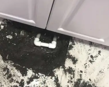 阳泉市查漏水哪家好